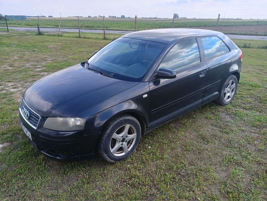 Audi A3 8P 2.0 TDI (2003) - miniatura 3
