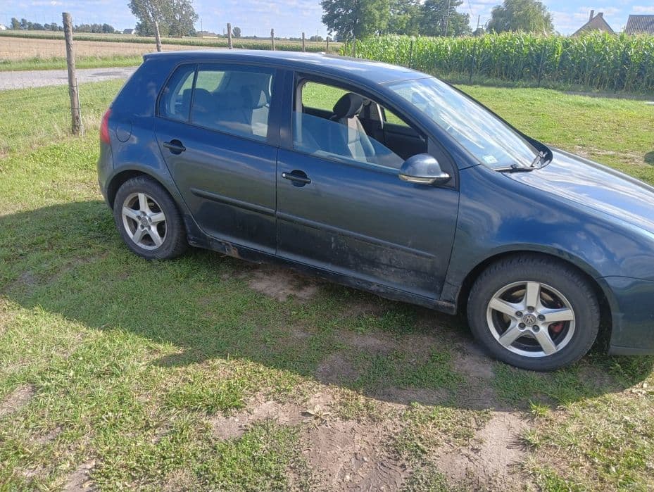 Volkswagen Golf V 1.9 TDI (2004) - miniatura 3